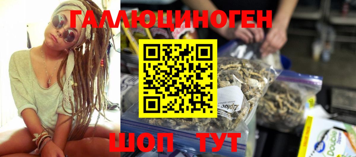 Михайловск  Галлюциногенные грибы прущие грибы  Вход с VPN 